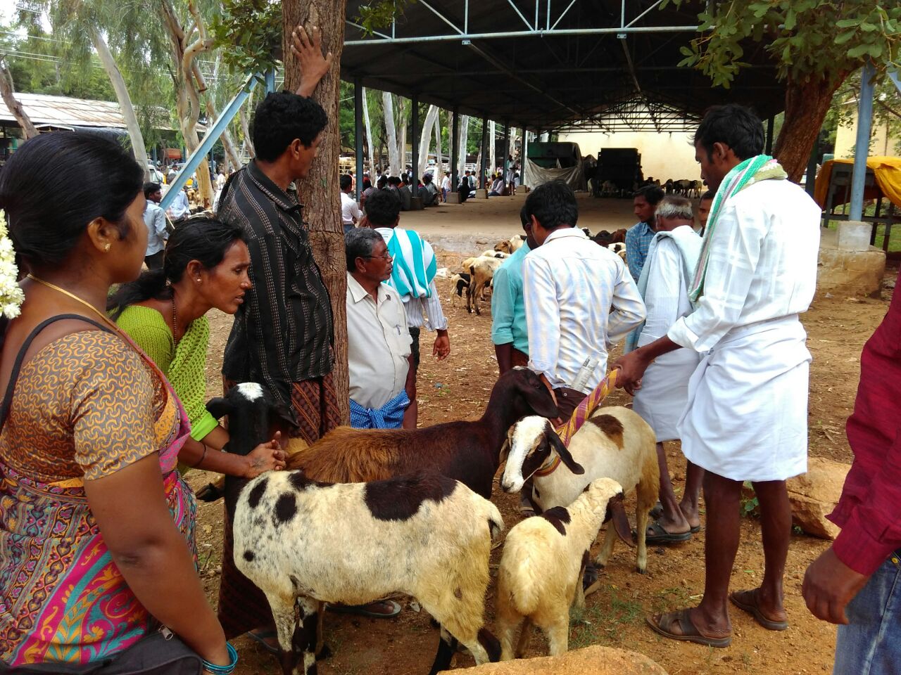 Making dashparni and jeewamrut