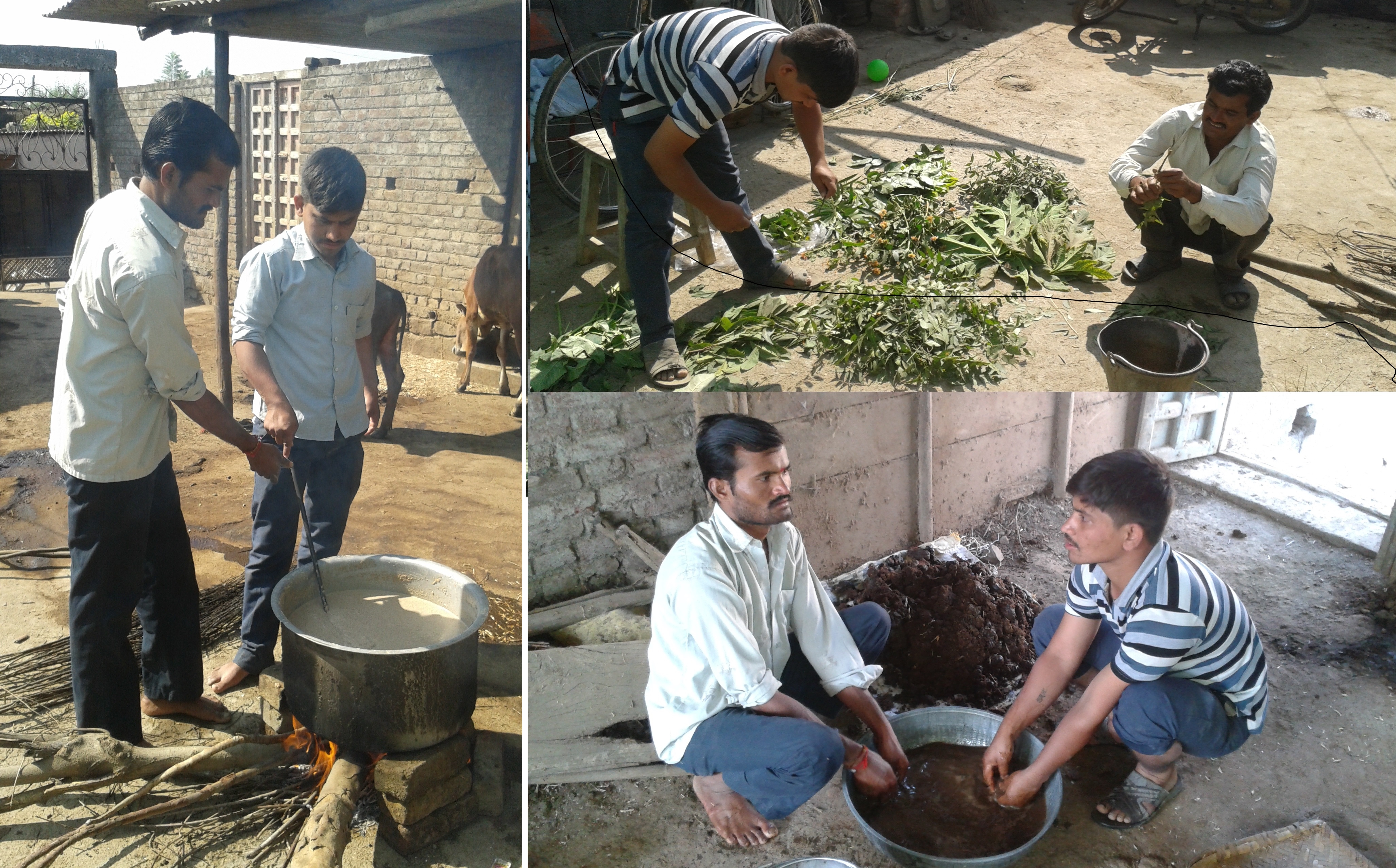 Farmers preparing and using organic fertilizer and pesticide