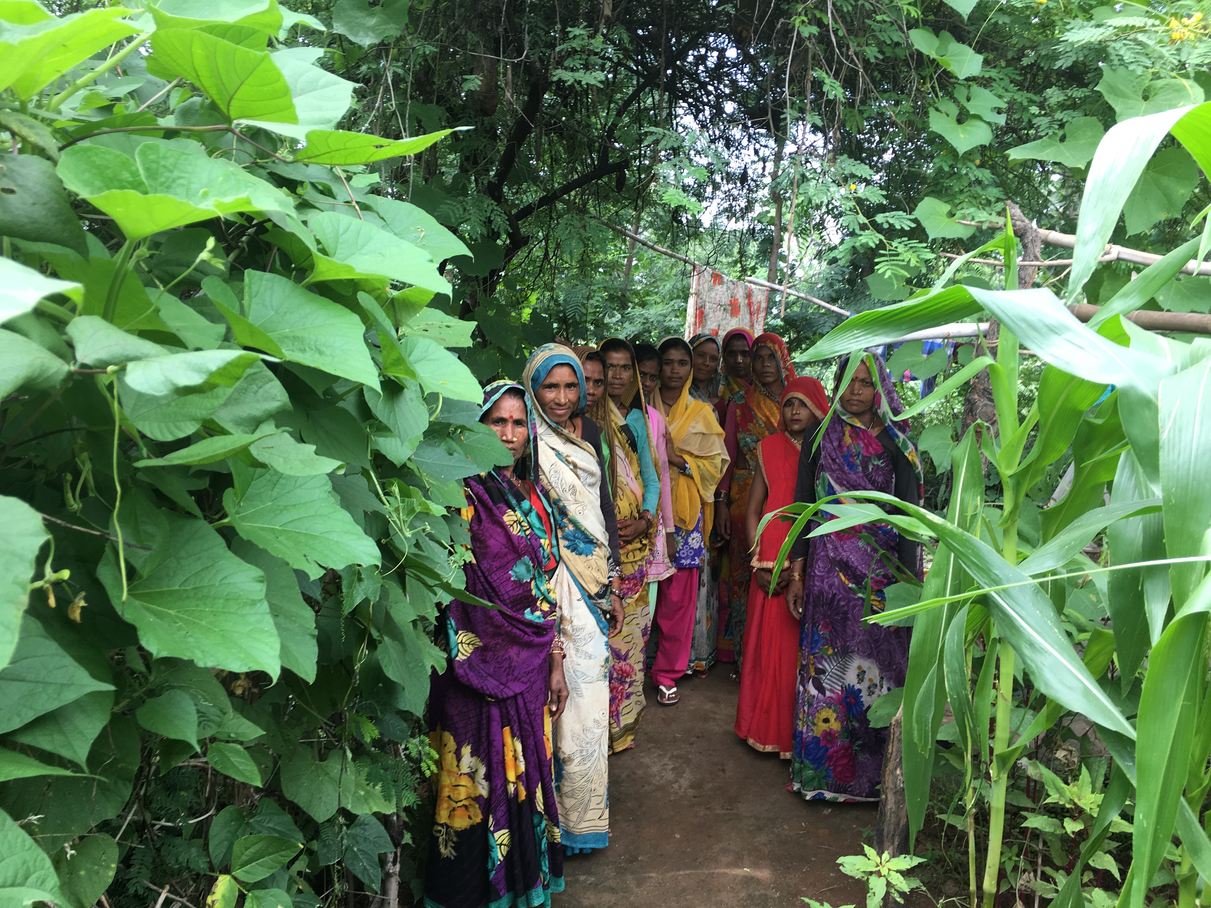 Kitchen gardens