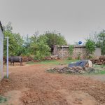 Rain Water Harvesting Systems installed on the homes of the Chinchani village.