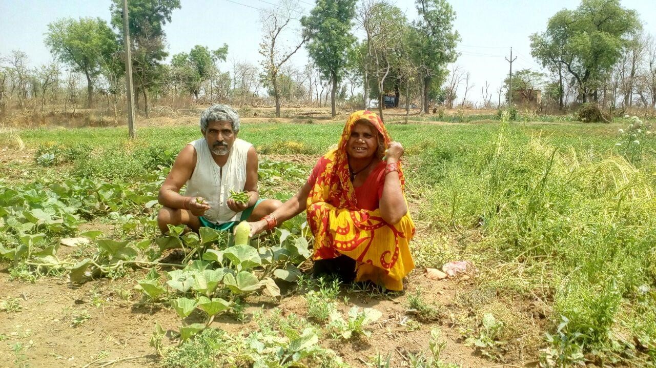 Kitchen Garden