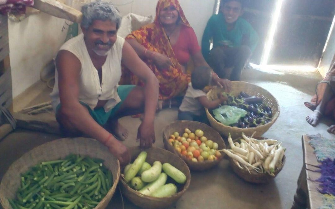 A Progressive Farmer