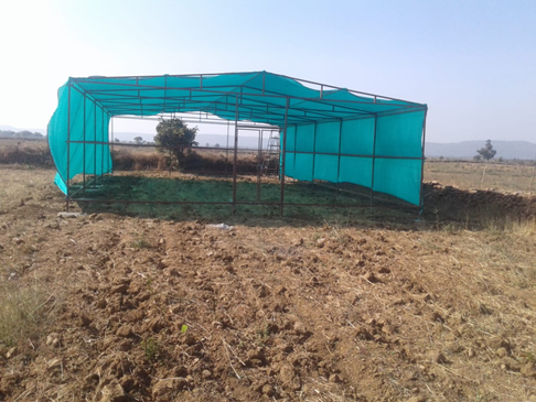 Green House Construction at Subhdhara Village