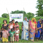 Nutri Garden in Sonepura village to have Nutritional Security of family members especially children