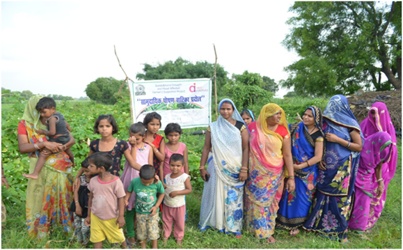Nutri Garden in Sonepura village to have Nutritional Security of family members especially children
