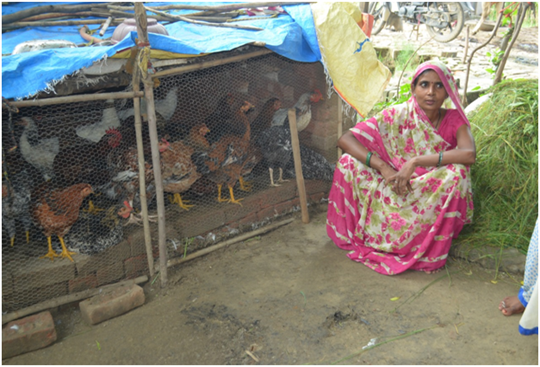 Woman with her poultry