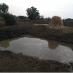 Mati Nala Bandhara filled with water at Pimpalgaon Dola