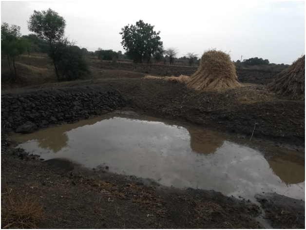 Mati Nala Bandhara filled with water at Pimpalgaon Dola