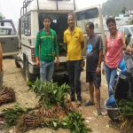 Saplings distributed to farmers