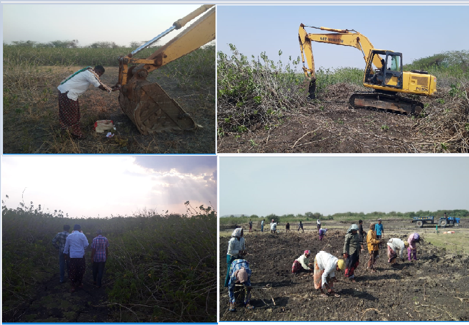 Mannekunta Village Reservoir cleanup