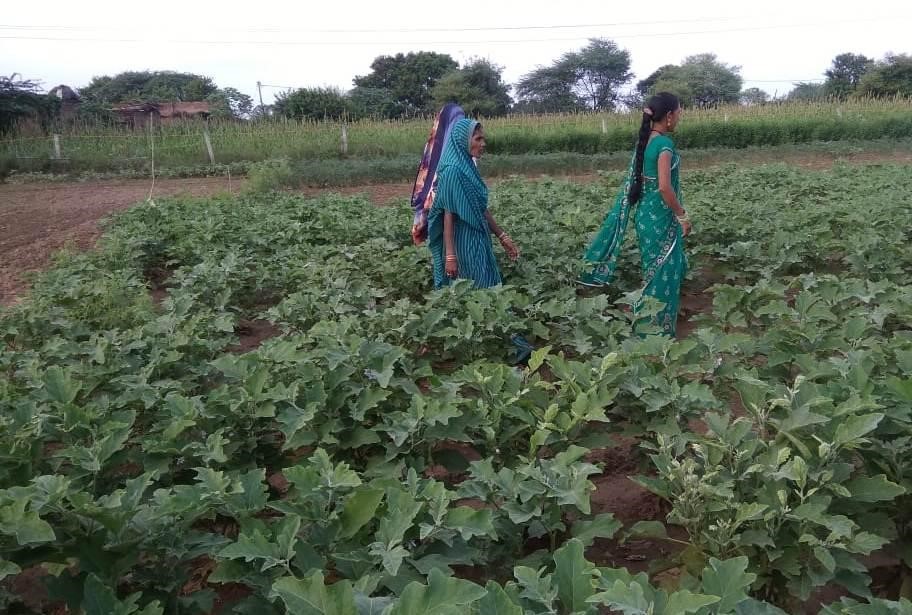 SHG members in the Community kitchen garden