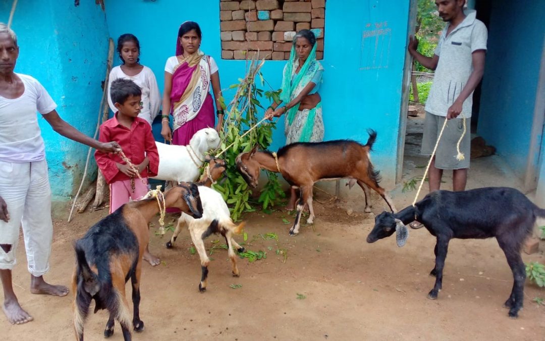 Goats for Livelihoods Support to Marginal Farmer’s Family