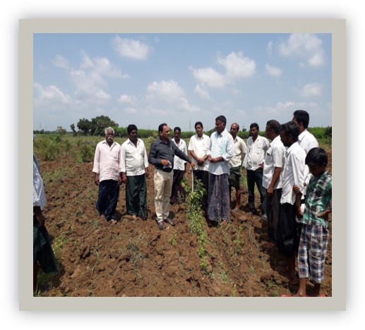 WALAMTARI director Sri Krishna Rao attend the first meeting and gave suggestions with regard to effective farming