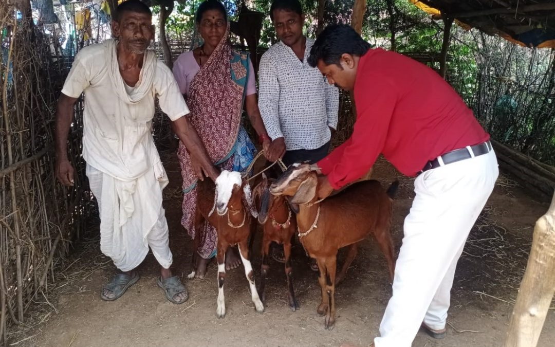 Goats for Livelihoods Support to Anandibai