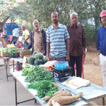 Marketing of Organically grown vegetables in Tumkur city (every Sunday)
