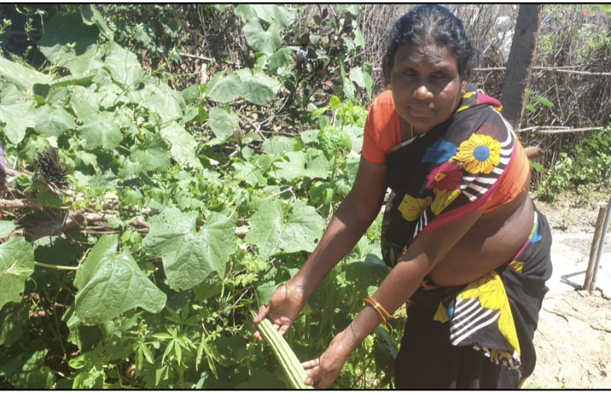 Women Farmers – Gender Inequality in Indian Agriculture