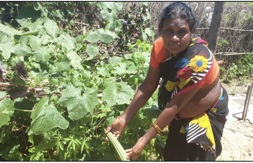 Chenchurajupalem Batta.Barathamma w/o Ankaiah