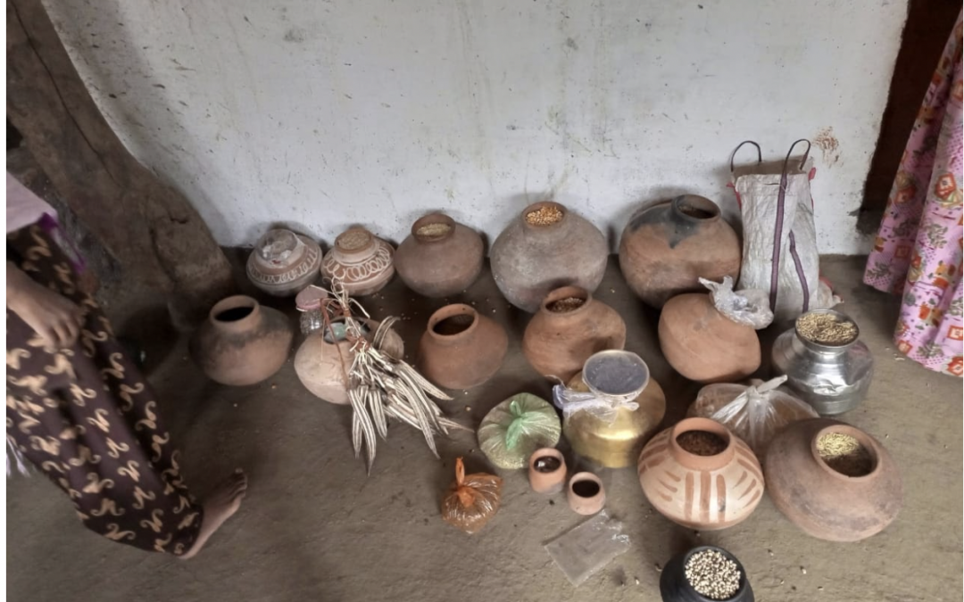 Beej Swaraj — Indigenous seed sovereignty for and by tribal women