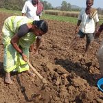 Honnapur Farmers being trained