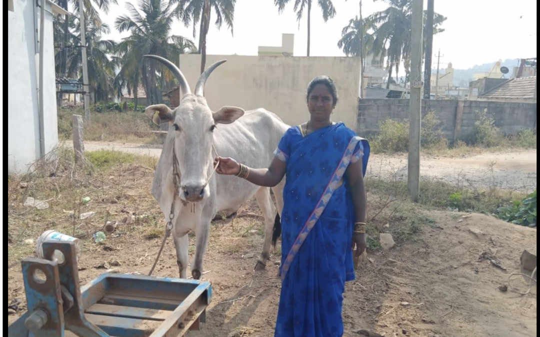 Desi Cow farmers – Case Study