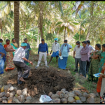 Enriched Composting demonstration program for SIF Organic farmers