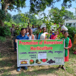 Promotion of Homestead Horticulture