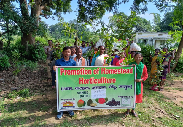 Promotion of Homestead Horticulture