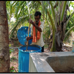 Jeevamrutha preparation & application for horticulture crops- Muddanna, third year organic farmer