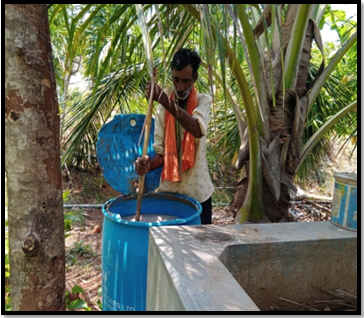 Jeevamrutha preparation & application for horticulture crops- Muddanna, third year organic farmer