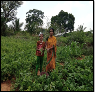 Tumkur Region - Organic Farming (3rd - 4th Year)