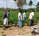 Field farmers’ schools