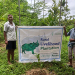 SankalpTaru Assam Plantation 1