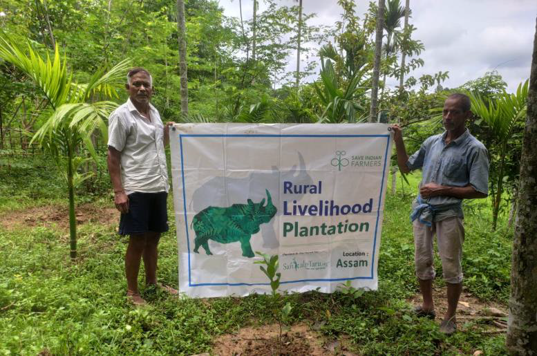 SankalpTaru Assam Plantation 1