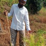 Rainfed paddy crop Season: Kharif 2022