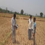 Field visit paddy farmer venkataramana