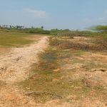 Old canals visited Thokalapudi