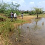 Old canals visited Thokalapudi