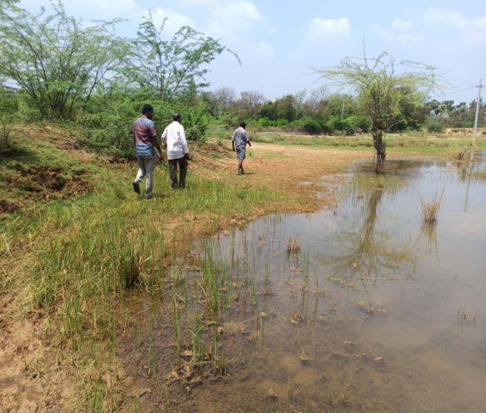 Old canals visited Thokalapudi