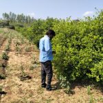 Gangadhevapalli prasad field visit