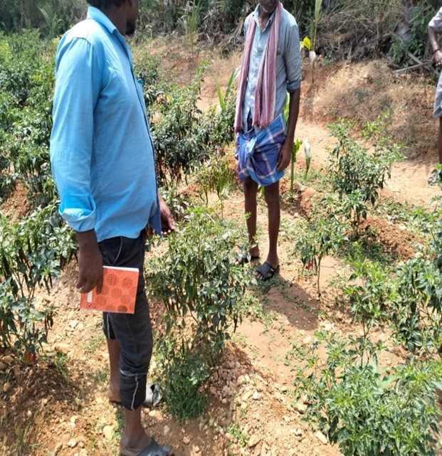 Thokalapudi krishnaiah field visit