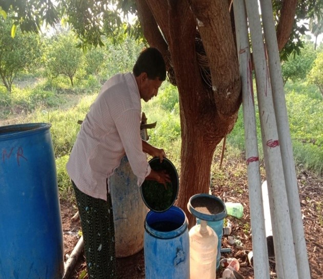 Dhrava jeevamrutham preparation of molakalapondla