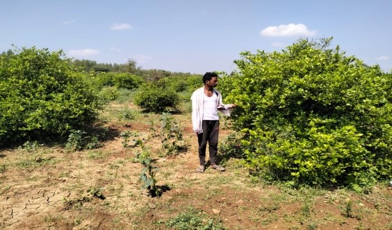 Lingasamudharam prasadh field visit