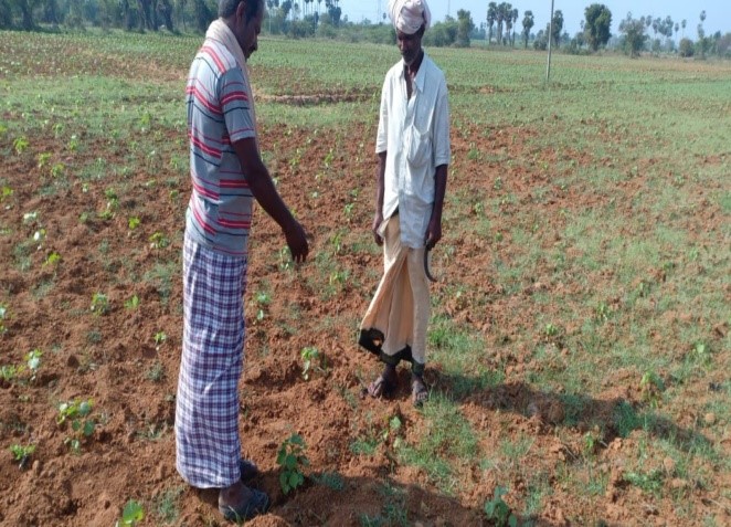 Lingasamudram K.Krishnaiah farmer field visit