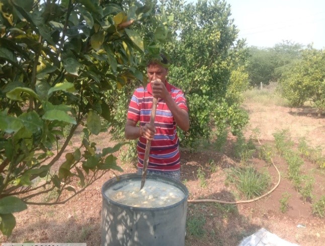 Dravajeevamrutham preparation   Paluru