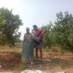 Spraying lemon field of Esawar Raju Paluru