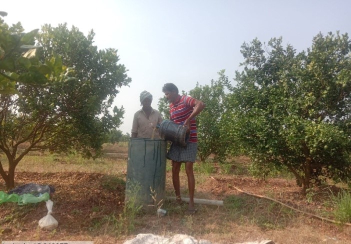 Spraying lemon field of Esawar Raju Paluru
