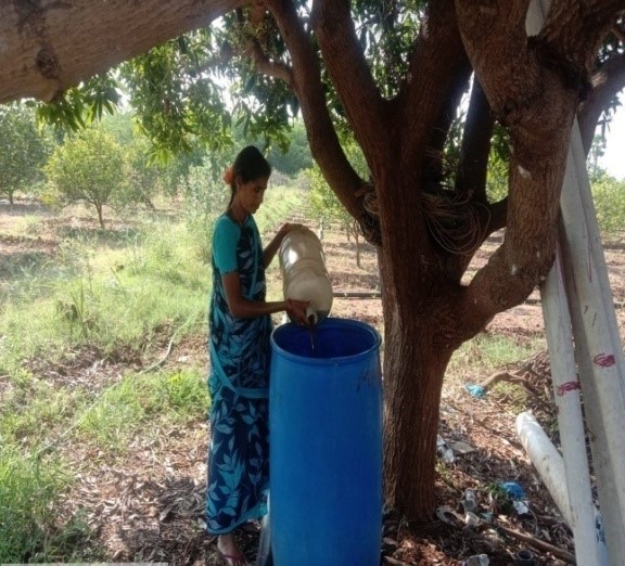 Dravajeevamrutham preparation S.v kandhriga