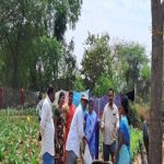 Field visit vegetable graden Dadishetti Palli