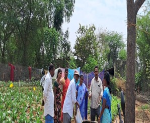 Field visit vegetable graden Dadishetti Palli