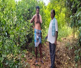 Lemon  Field visit D. Vemaiah of Lingasamudram